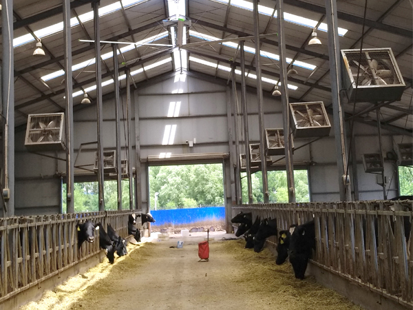 工業(yè)大風扇